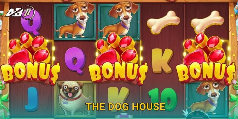 The Dog House vui nhộn – Trúng thưởng bất ngờ tại Ab77