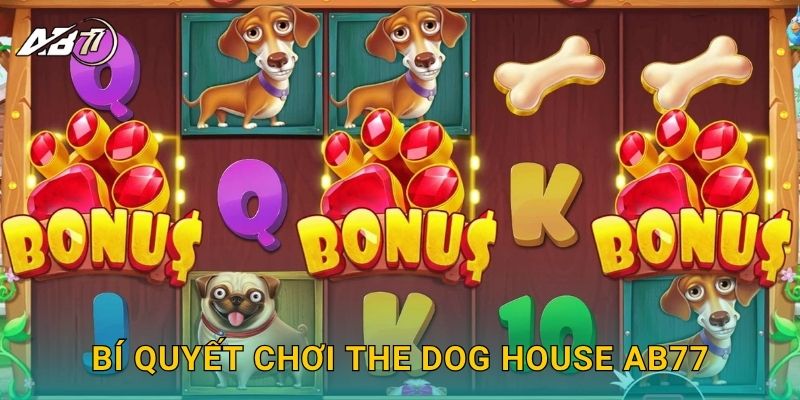 Bí quyết chơi The Dog House Ab77