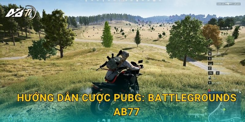 Hướng dẫn cược PUBG: Battlegrounds Ab77