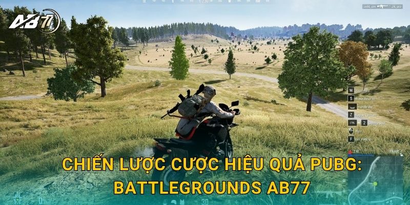Chiến lược cược hiệu quả PUBG: Battlegrounds Ab77